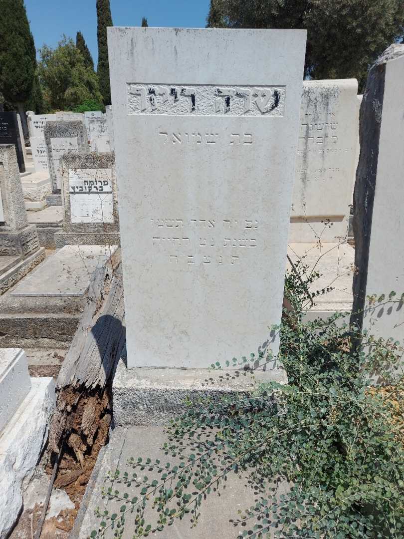 קברו של שרה רייזר