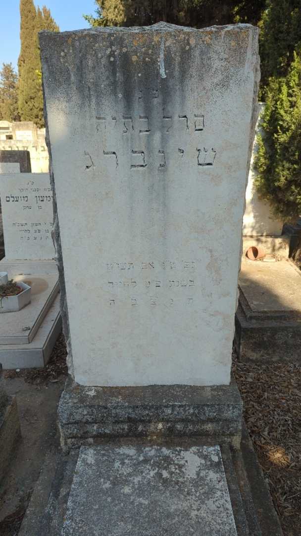 קברו של סרל בתיה שינברג