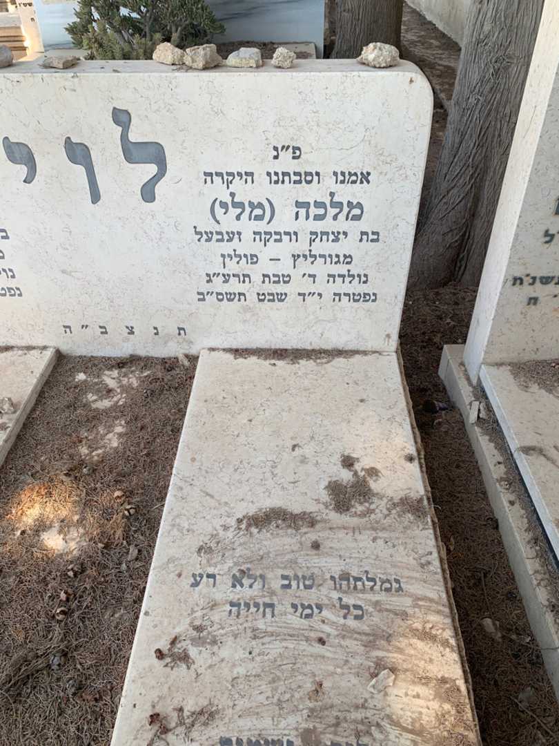 קברו של מלכה "מלי" לוי. תמונה 2