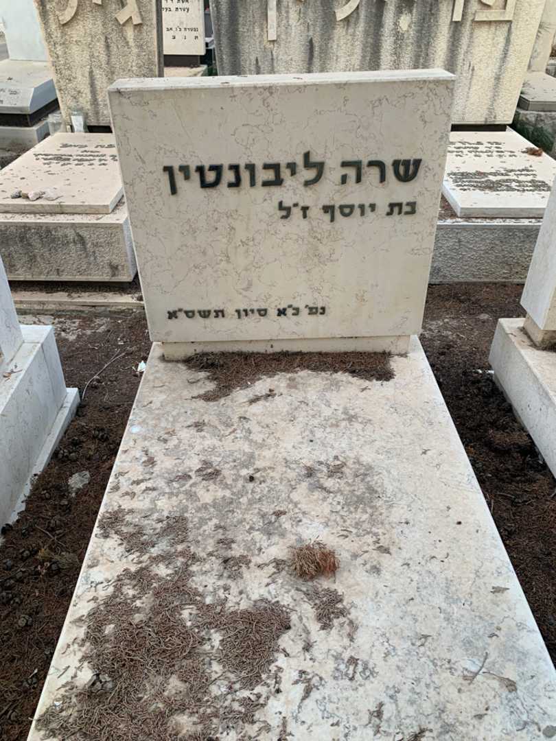 קברו של שרה ליבונטין