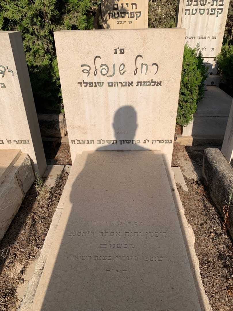 קברו של חנה אסתר דיאמנט