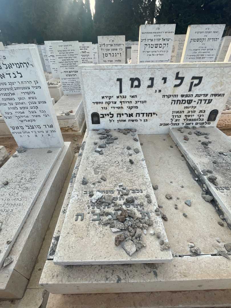 קברו של יהודה אריה לייב קלינמן. תמונה 2