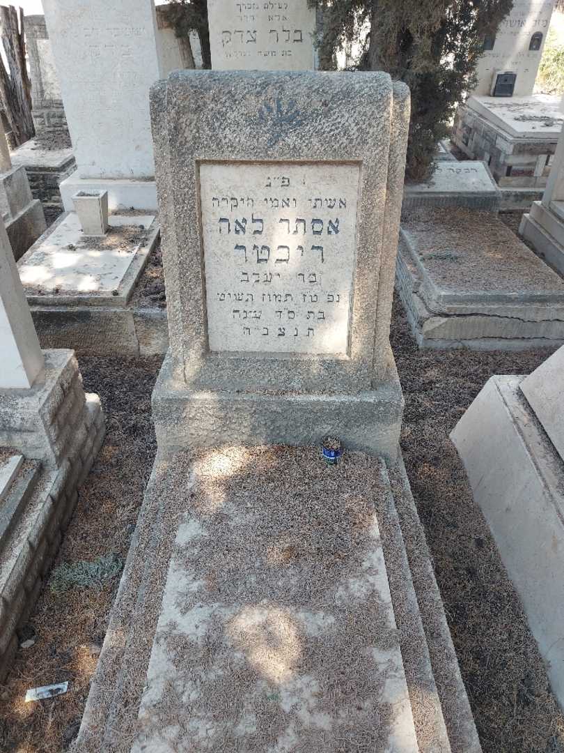 קברו של אסתר לאה ריכטר