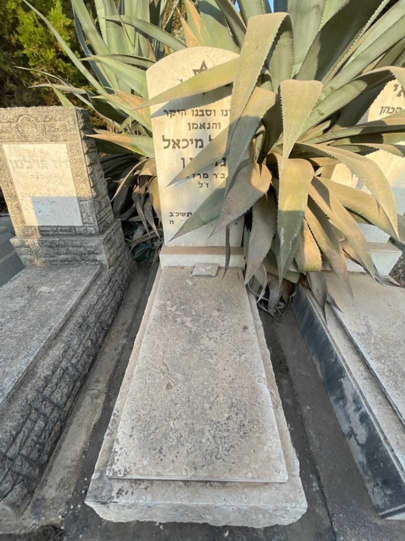 קברו של יחיאל מיכאל גרימן. תמונה 1