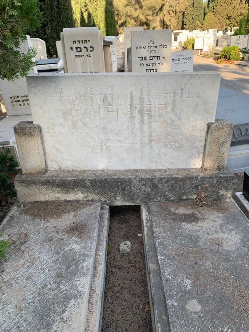 קברו של מנחם נחום רבינוביץ. תמונה 1