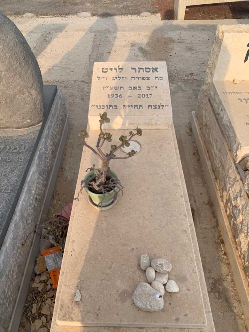 קברו של אסתר לויט