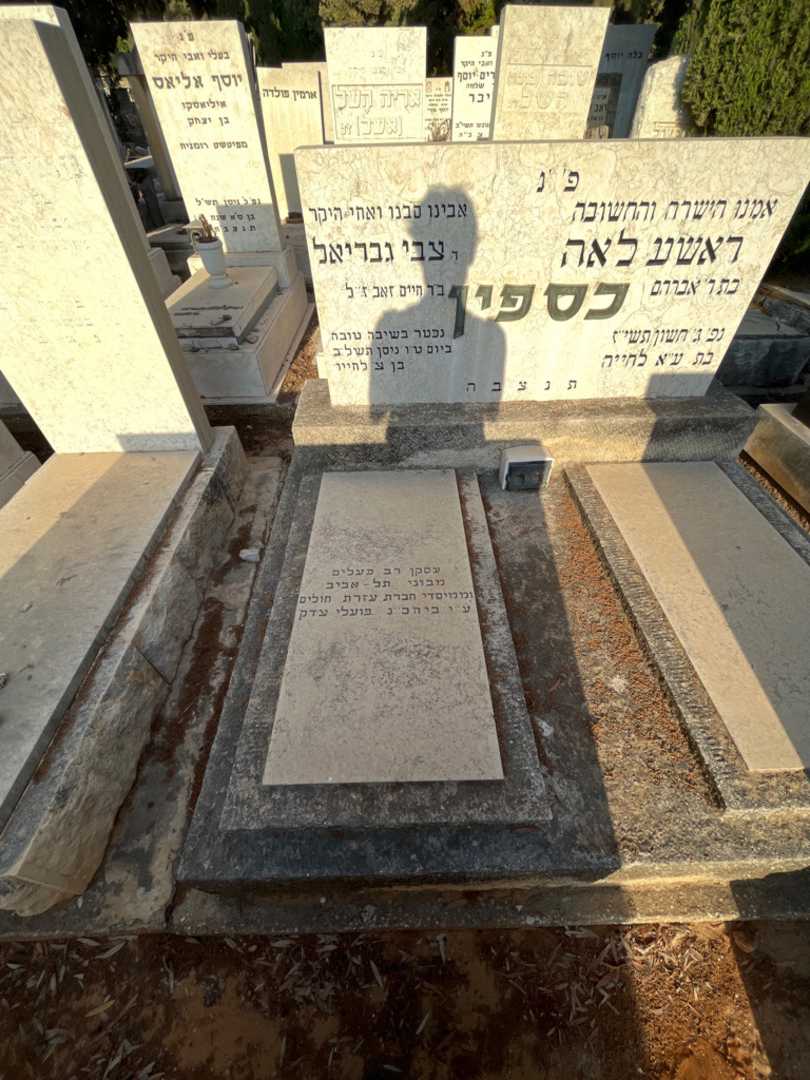 קברו של צבי גבריאל כספין. תמונה 1