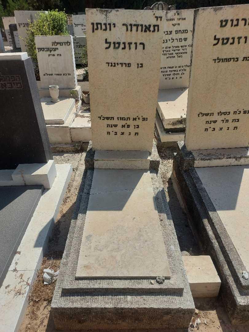 קברו של תאודור יונתן רוזנטל. תמונה 1