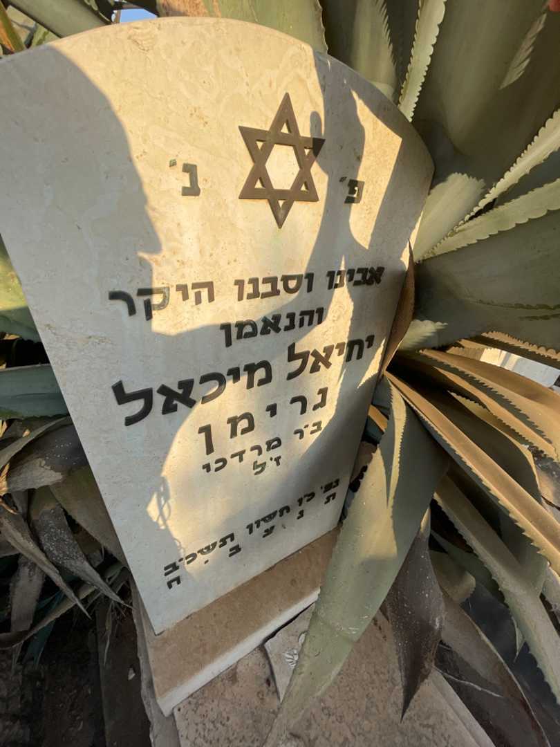 קברו של יחיאל מיכאל גרימן. תמונה 2