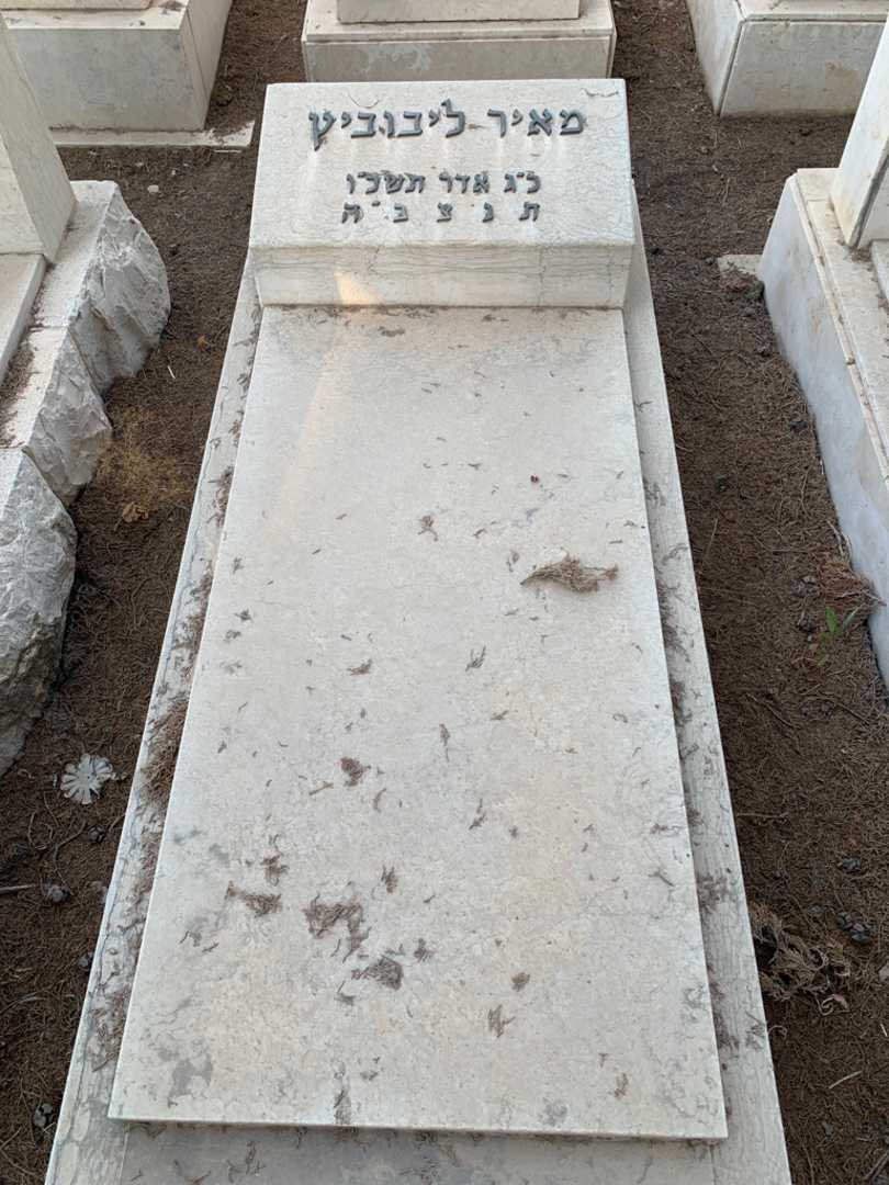 קברו של מאיר ליבוביץ