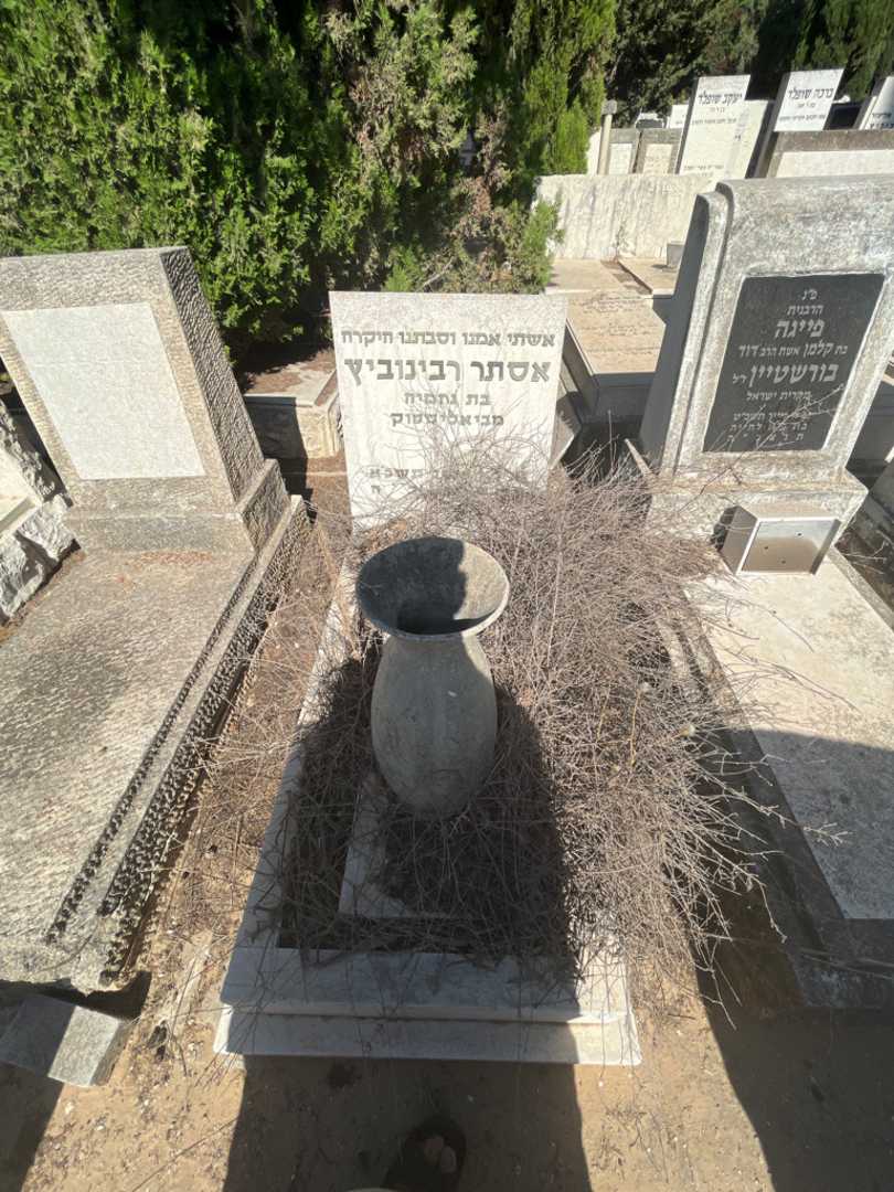 קברו של אסתר רבינוביץ. תמונה 1