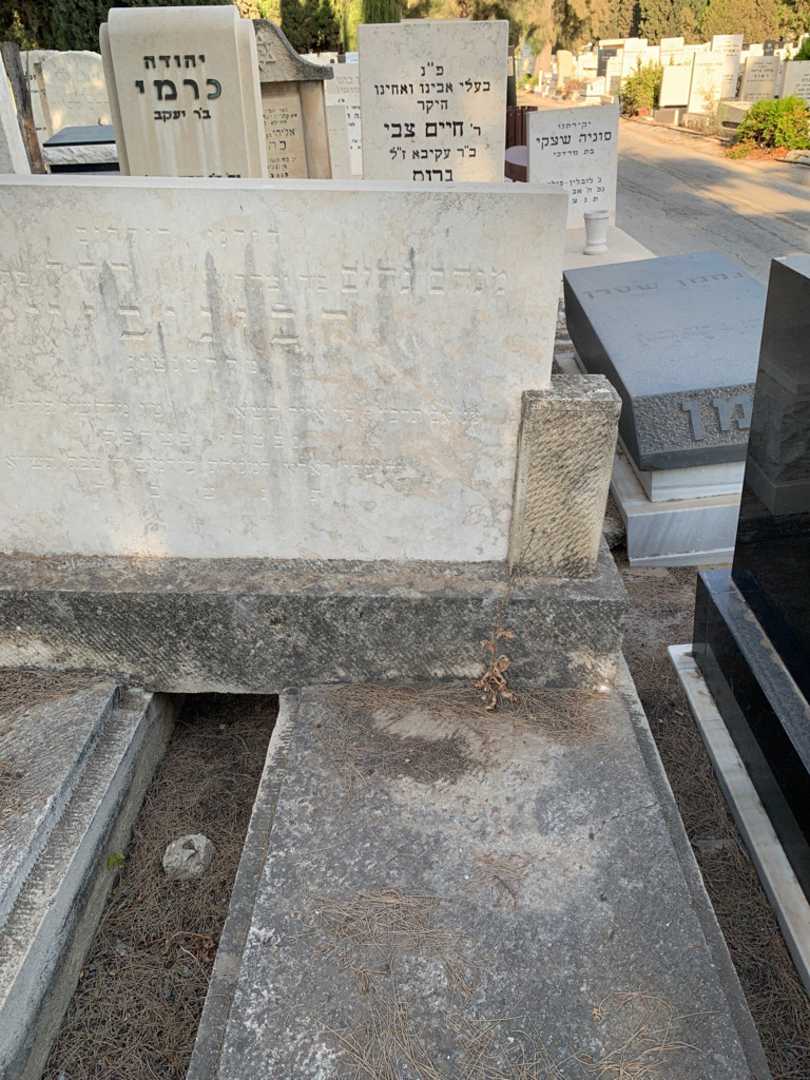 קברו של מנחם נחום רבינוביץ. תמונה 2