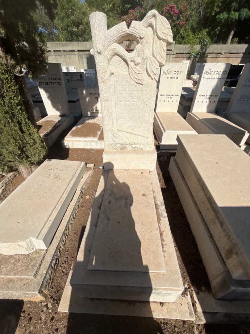 קברו של אברהם דב אורבך