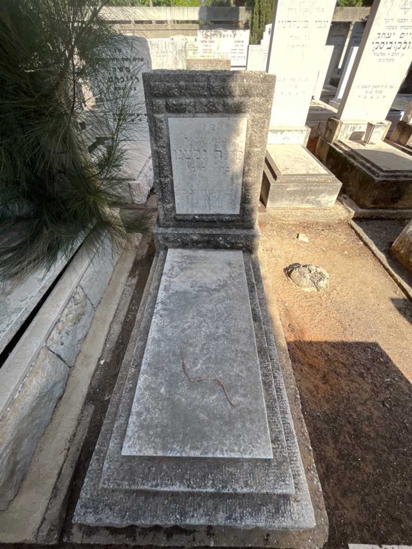 קברו של מינה גלצנו