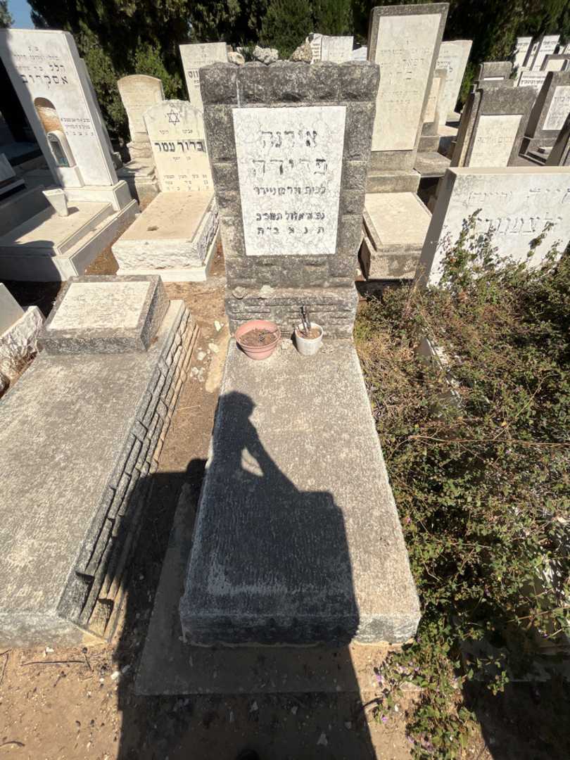 קברו של אירנה פדידה