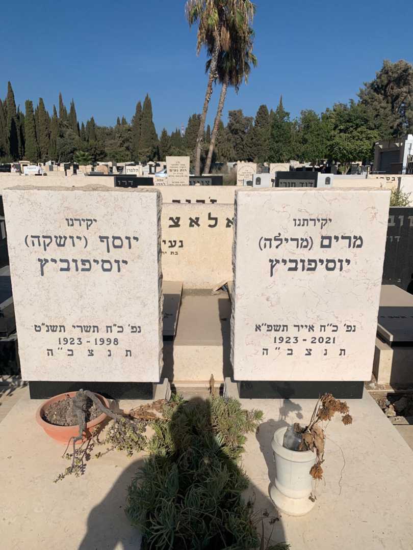 קברו של יוסף "יושקה" יוסיפוביץ. תמונה 1