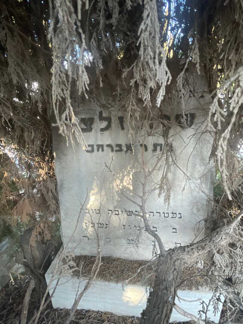 קברו של שרה זלצר. תמונה 2