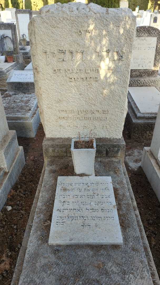 קברו של חיים ראובן רובין