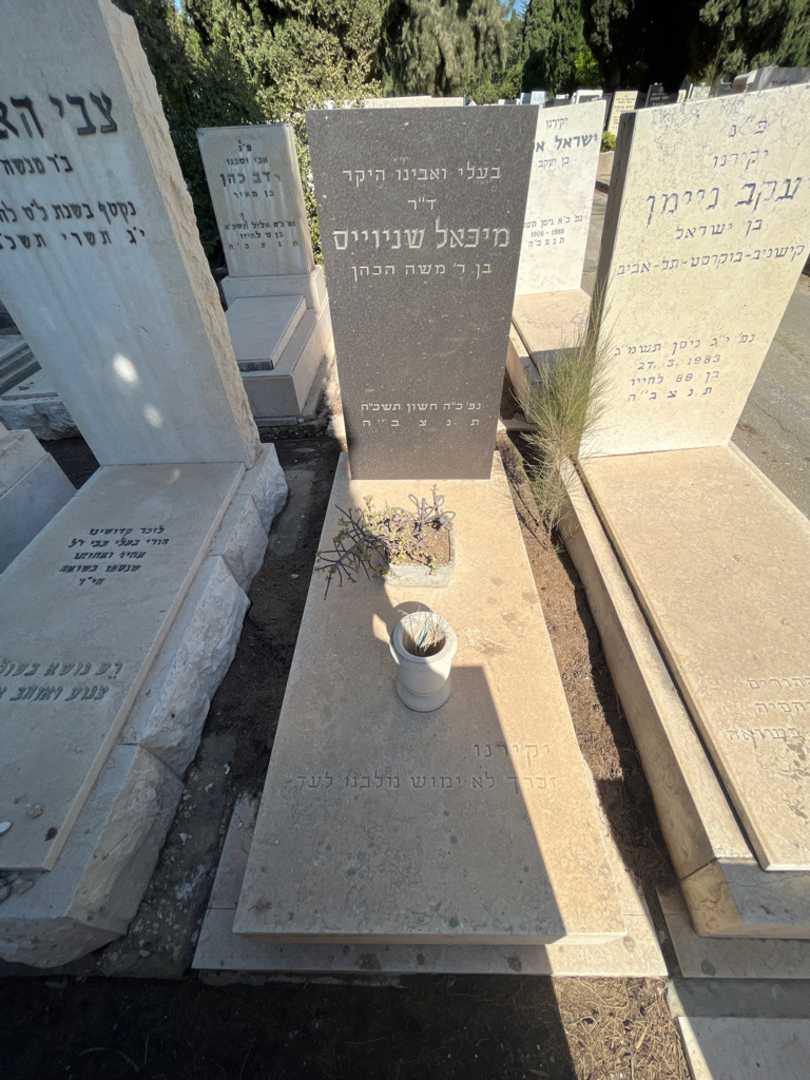 קברו של מיכאל שניוייס