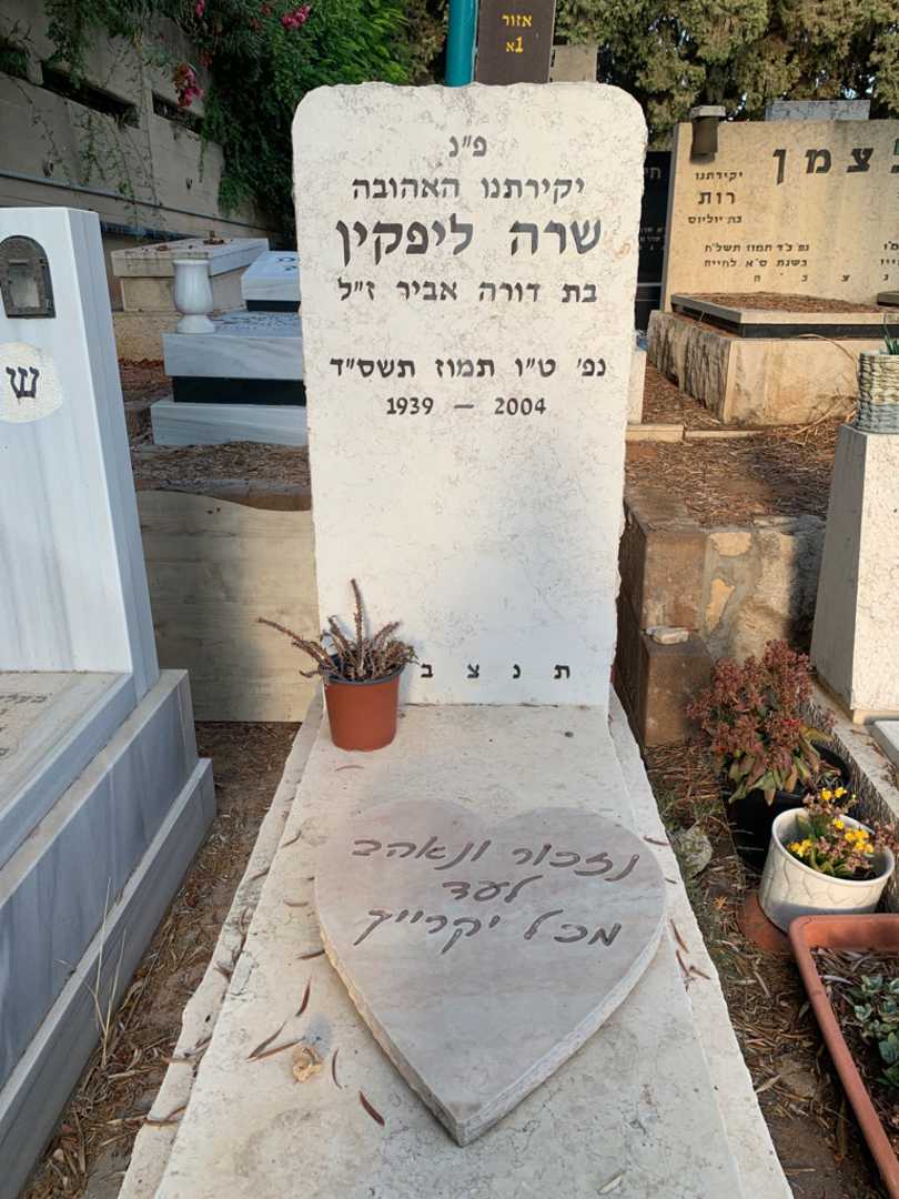 קברו של שרה ליפקין
