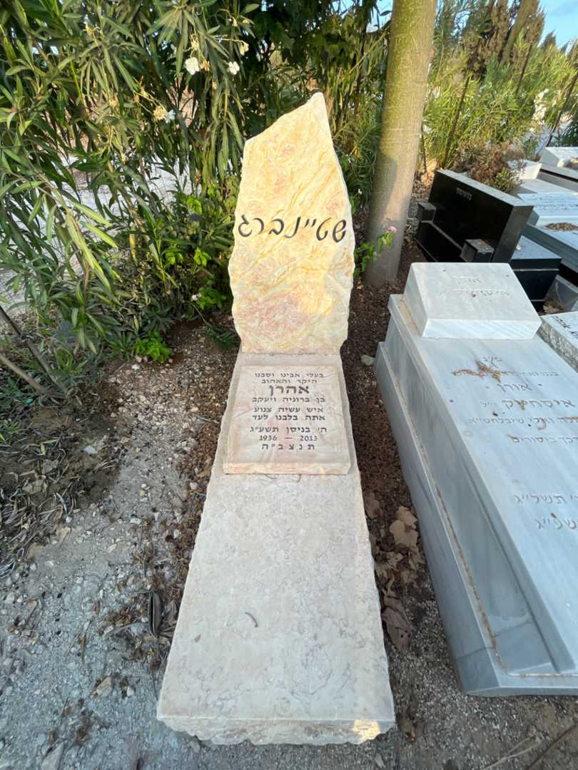 קברו של אהרן שטיינברג