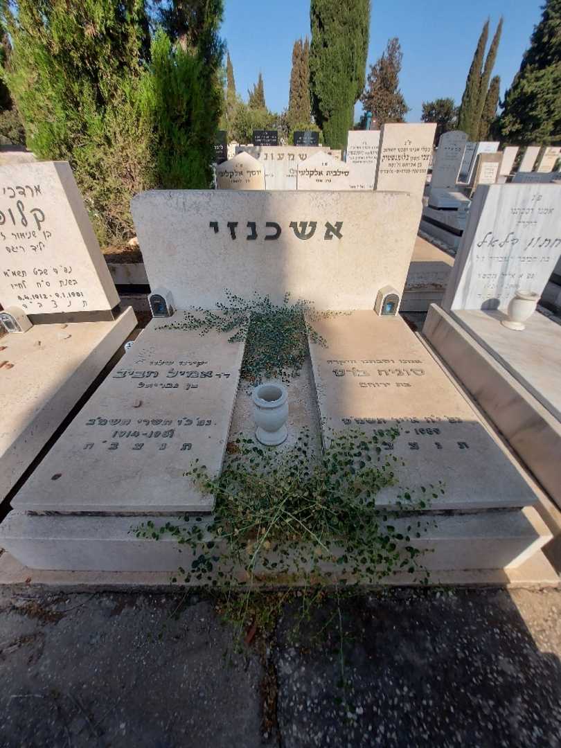 קברו של סוניה ברט אשכנזי. תמונה 1