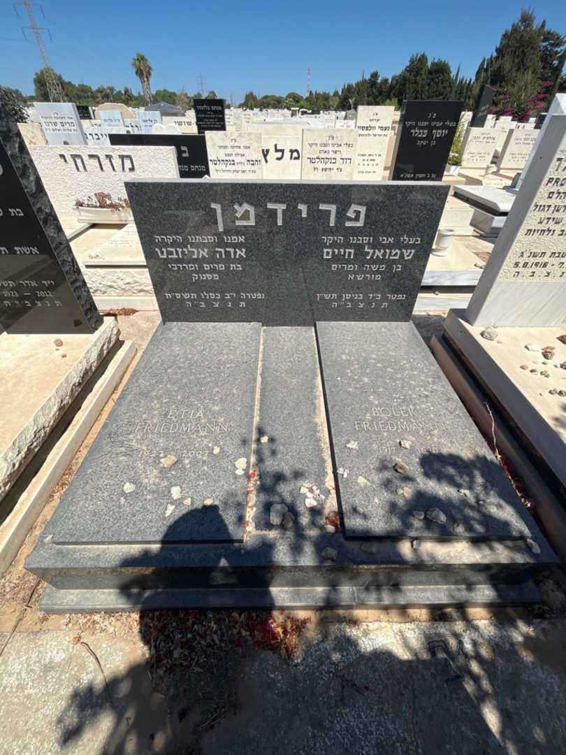 קברו של שמואל חיים פרידמן. תמונה 1