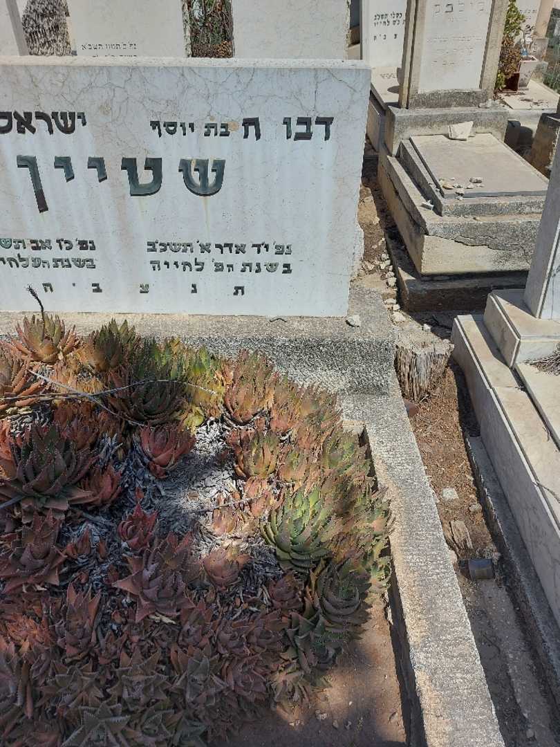 קברו של דבורה שטיין. תמונה 2
