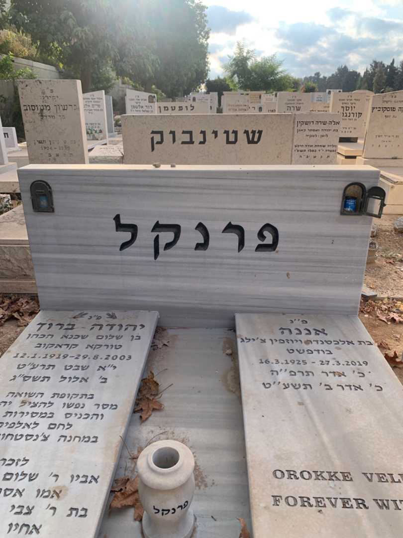 קברו של שלום שכנא הכהן. תמונה 1