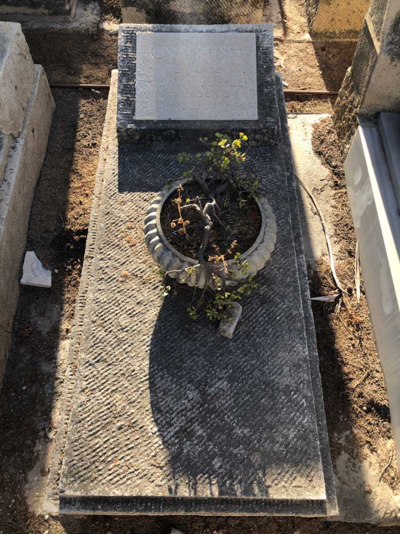 קברו של רוזה וייס. תמונה 1