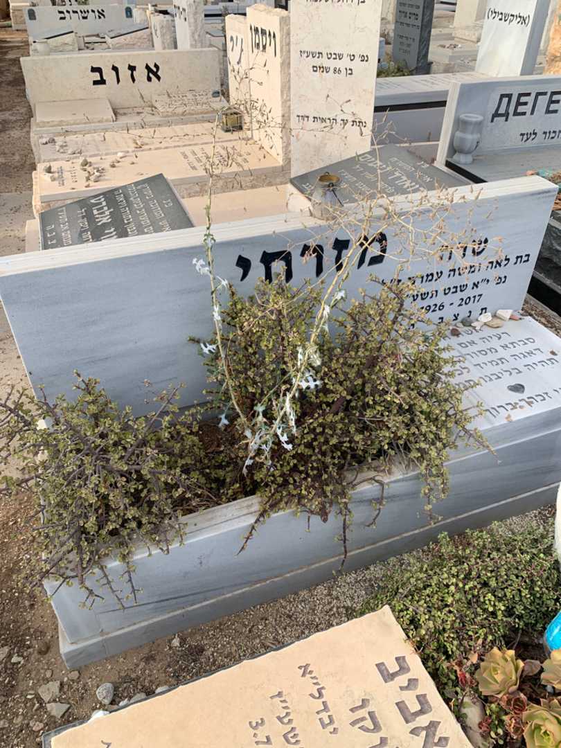 קברו של שרה מזרחי עמרם. תמונה 1
