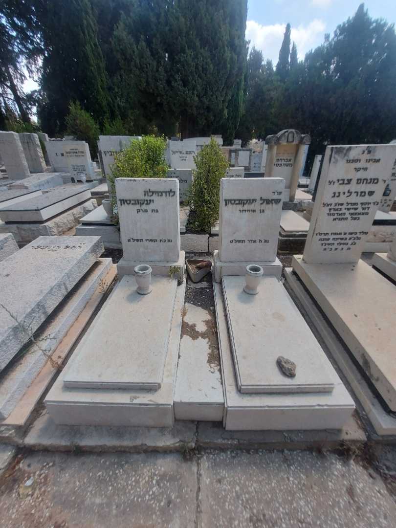 קברו של שאול יעקובסון. תמונה 2