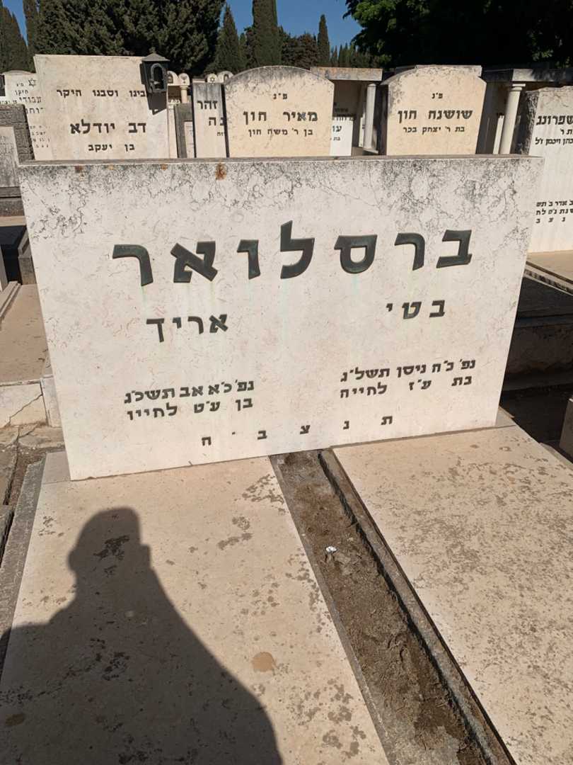 קברו של אריך ברסלואר. תמונה 2