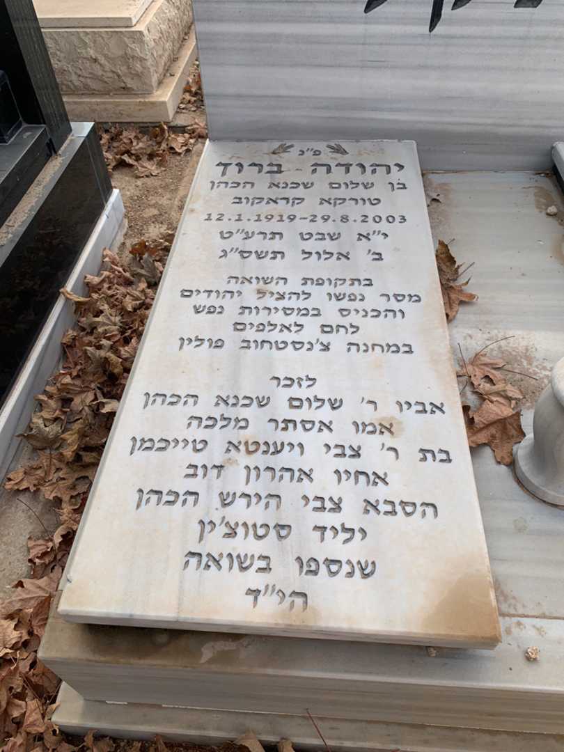 קברו של אסתר מלכה טייכמן. תמונה 2