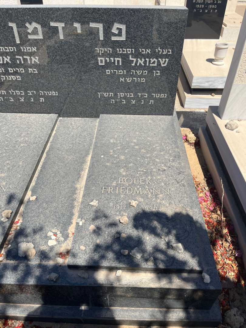 קברו של שמואל חיים פרידמן. תמונה 2