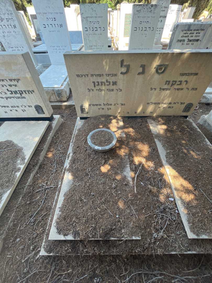 קברו של אלחנן סגל. תמונה 1
