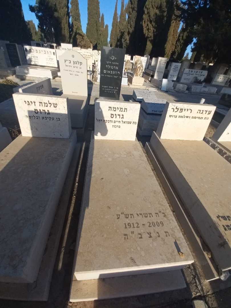 קברו של תמימה גרוס. תמונה 1