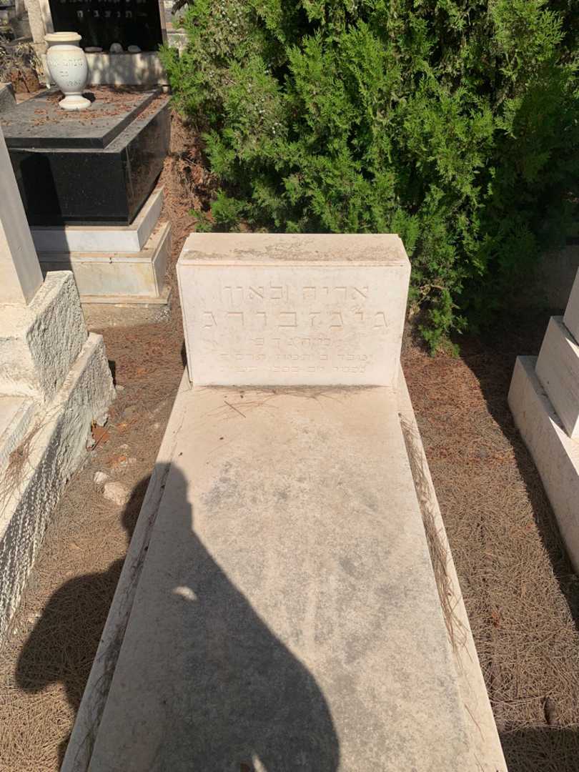 קברו של אריה "לאון" גינזבורג