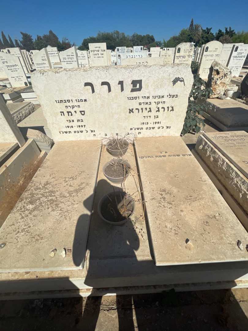 קברו של סימה פורר. תמונה 1