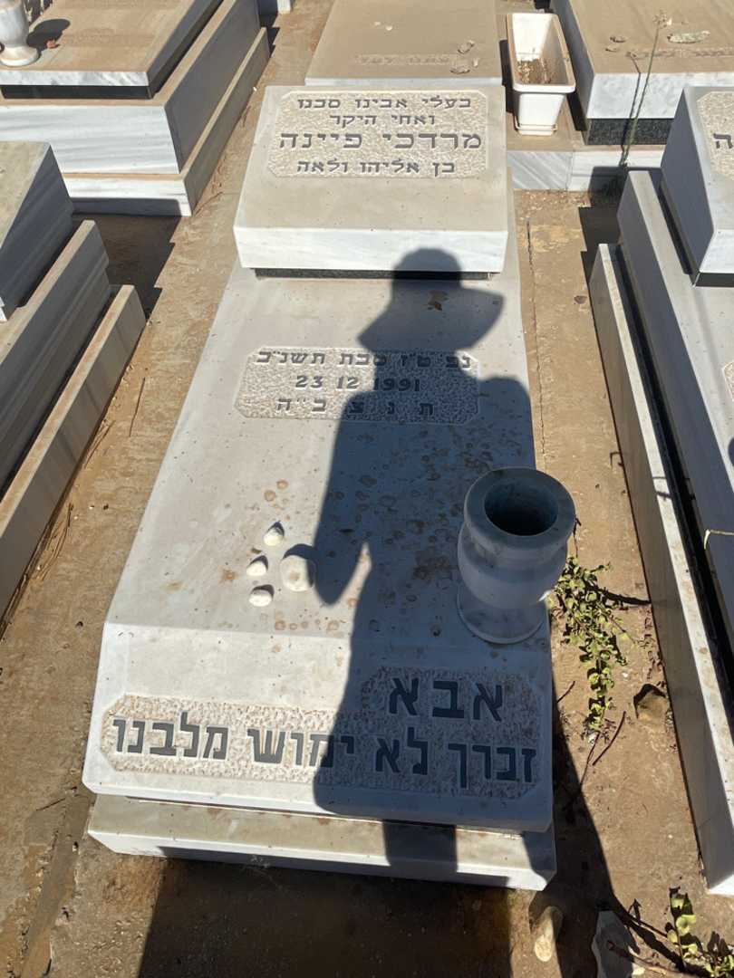 קברו של מרדכי פיינה. תמונה 2