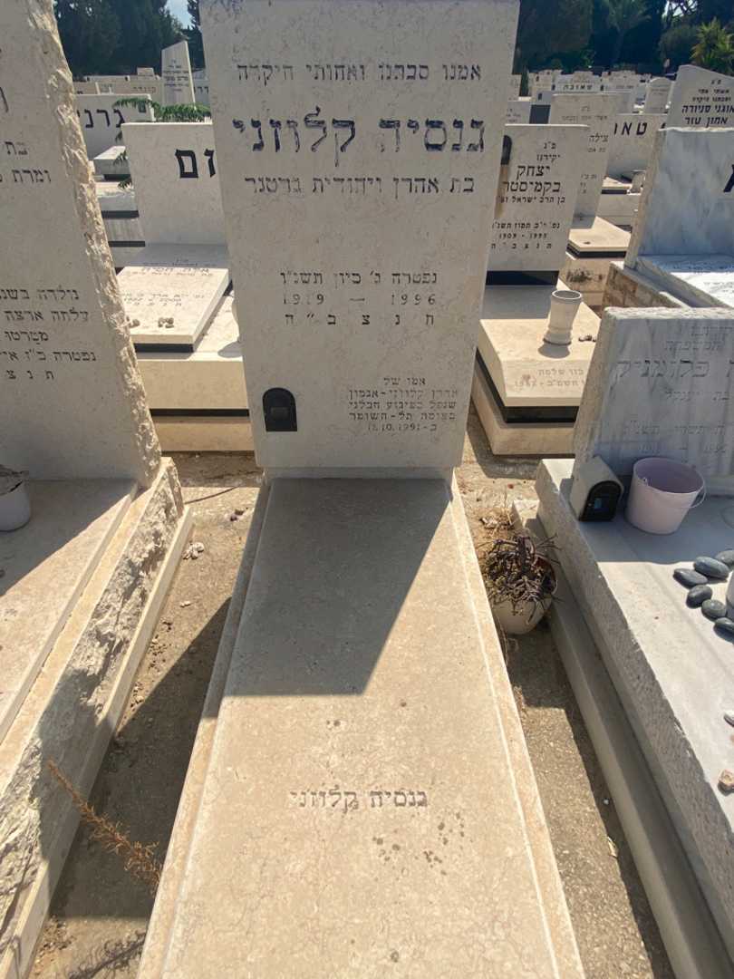 קברו של אהרן קלוז'ני-אגמון