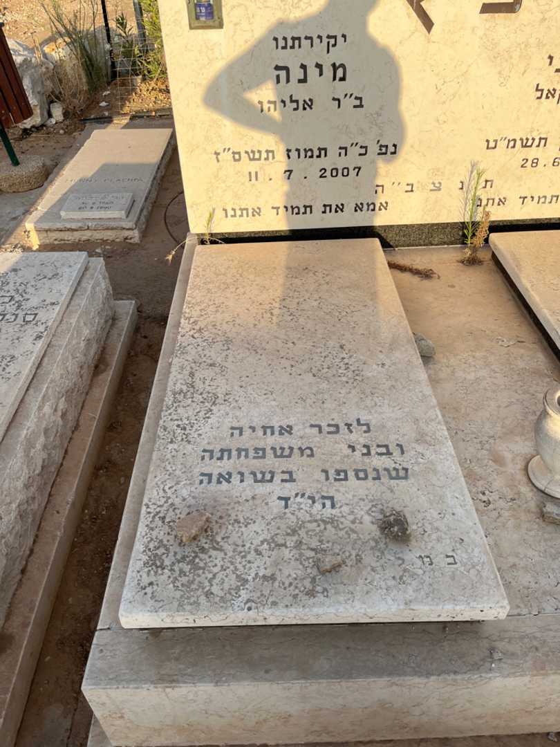 קברו של מינה כ''ץ. תמונה 1