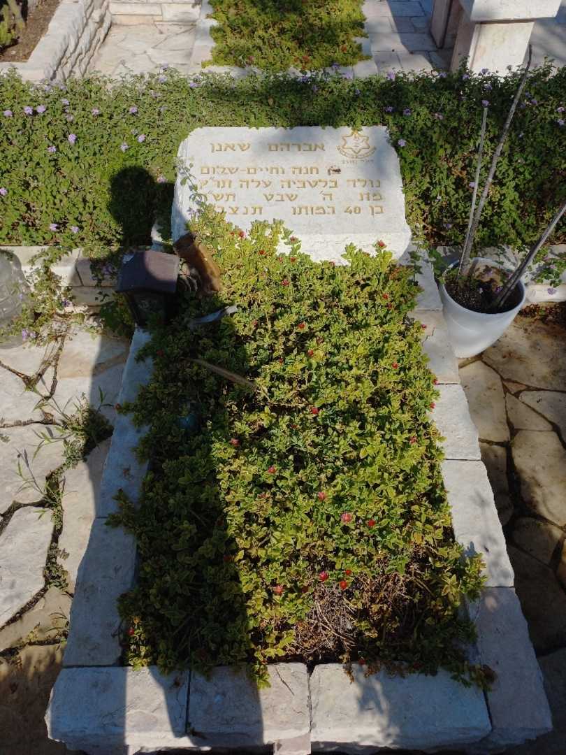 קברו של אברהם שאנן