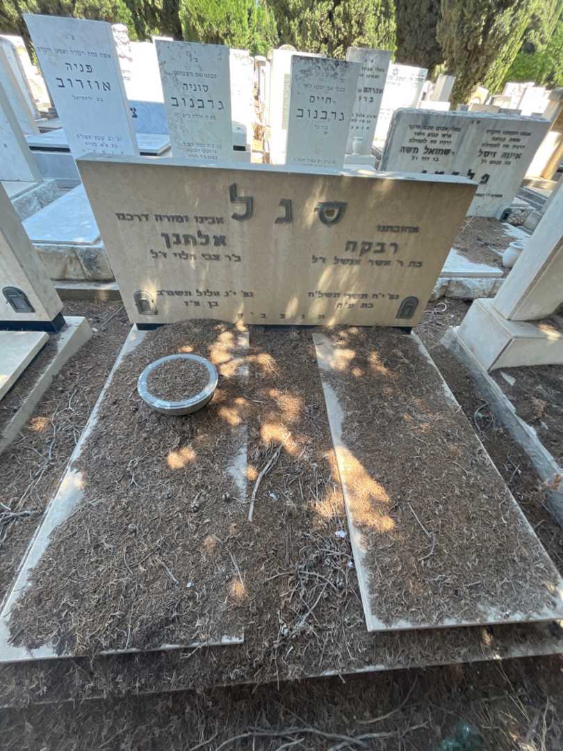 קברו של אלחנן סגל. תמונה 2