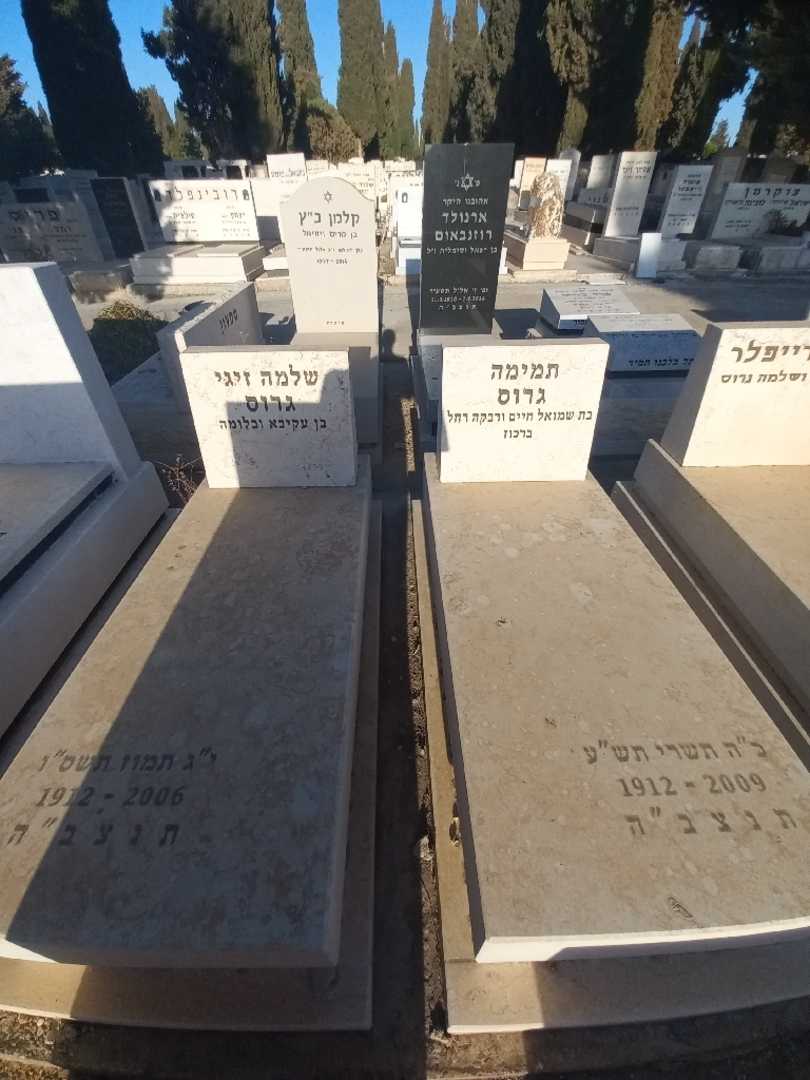 קברו של תמימה גרוס. תמונה 2