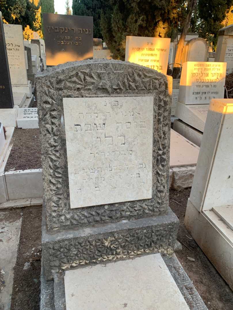 קברו של לילי אלברט. תמונה 3