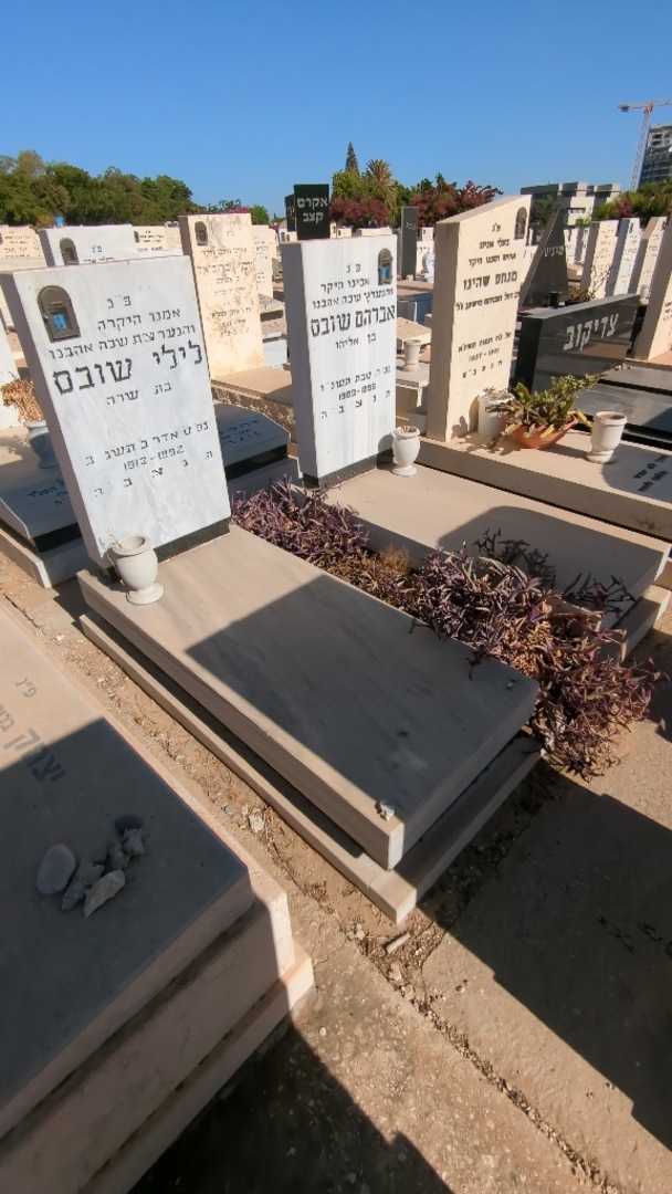 קברו של לילי שובס. תמונה 2
