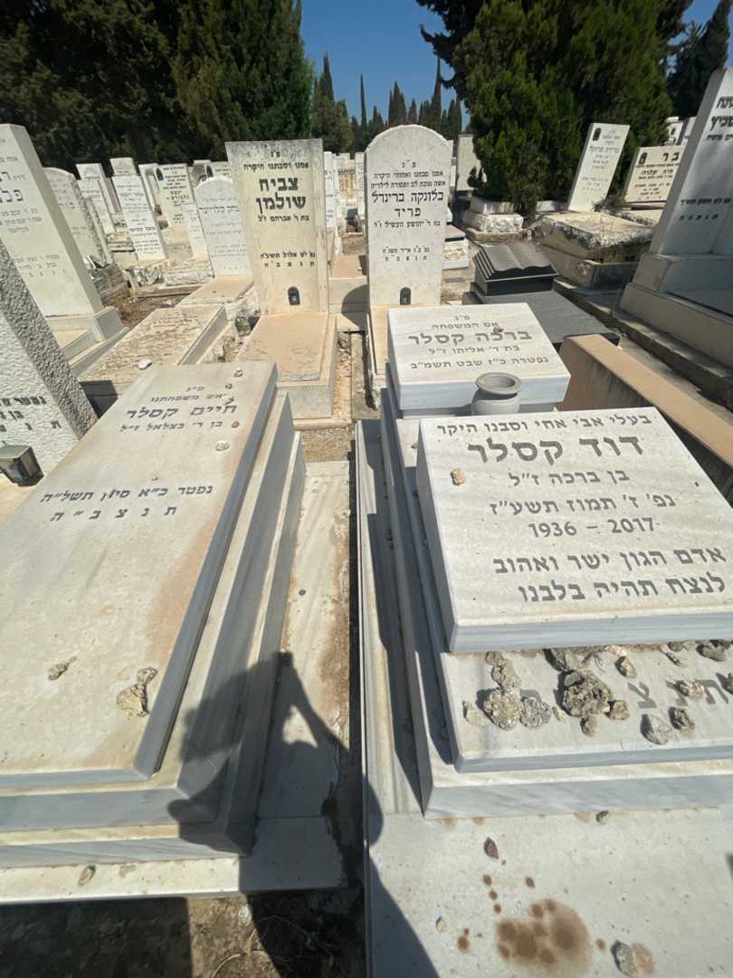 קברו של דוד קסלר. תמונה 1
