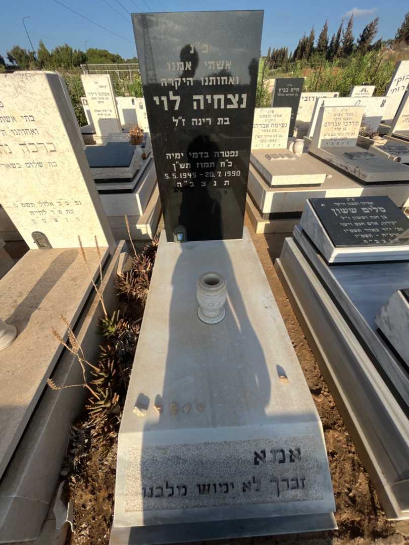 קברו של נצחיה לוי