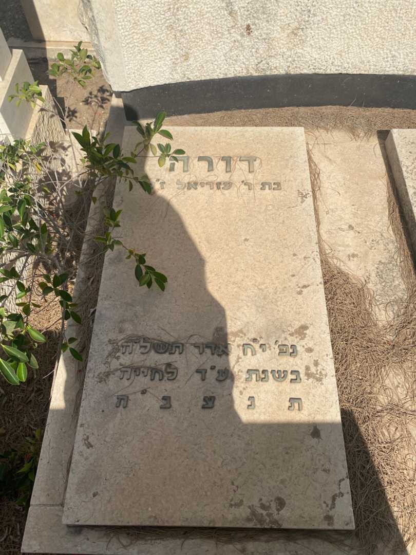 קברו של דורה איבניצקי. תמונה 2